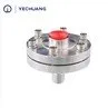 Diaphragm-Seals